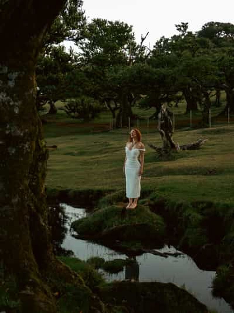 Billet Madère : Forêt de Fanal, Piscines de Lave et Dégustation de Vin