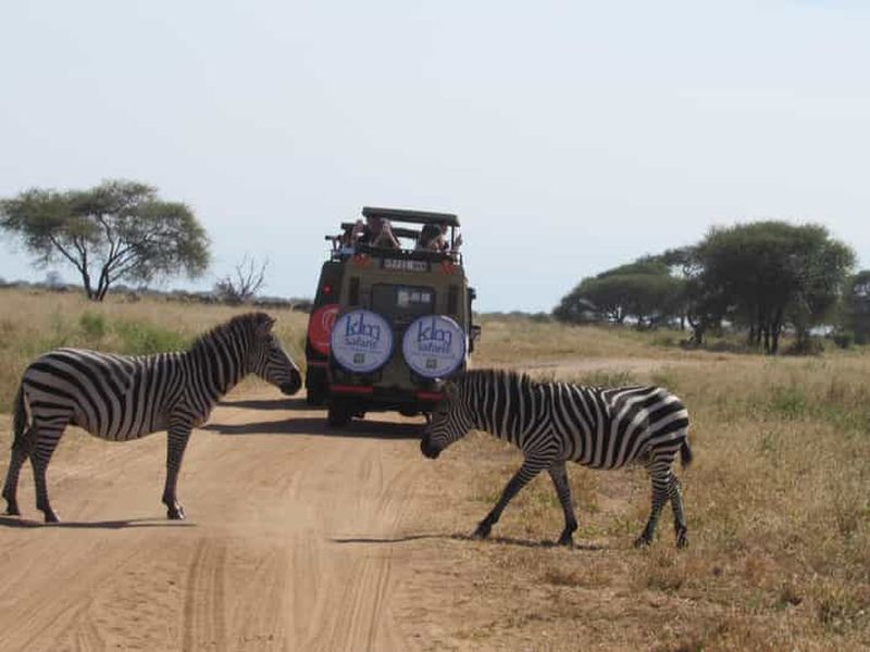 Billet Tanzanie : Safari moyen de gamme de cinq jours