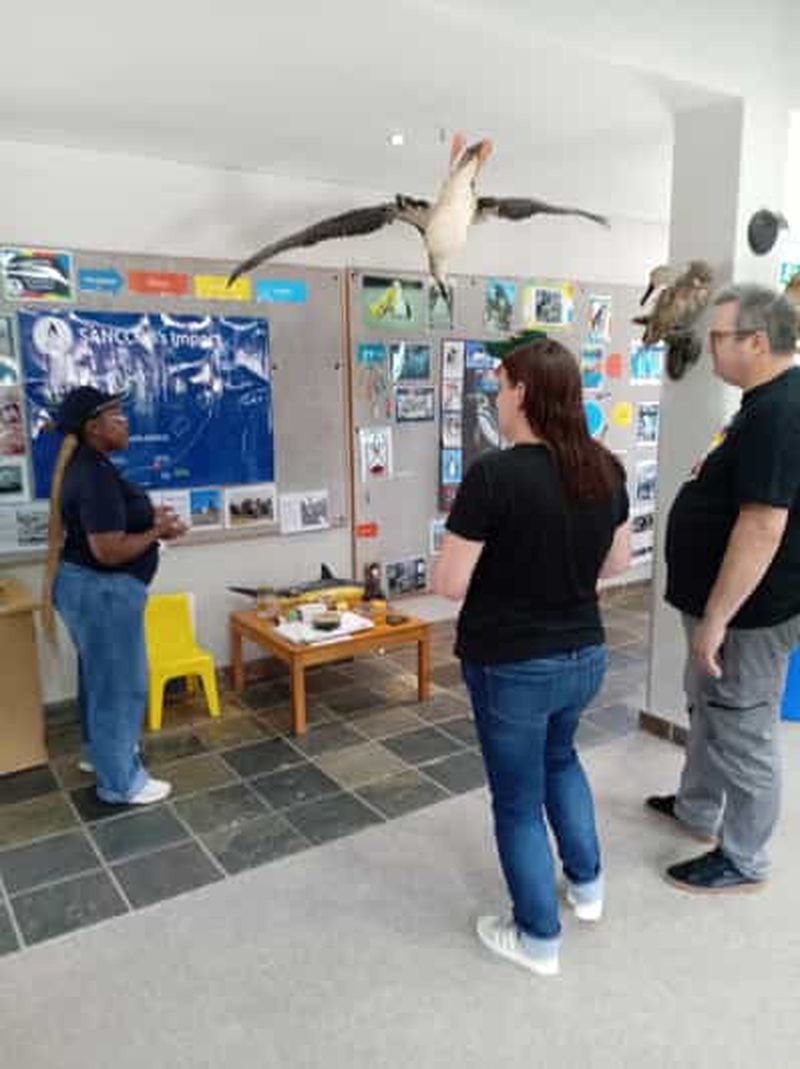 Billet Gqeberha : visite de la ville et de la côte avec collations et boissons