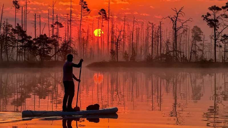 Billet Depuis Riga : excursion en paddle au lever du soleil à Cenas Tīrelis