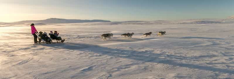Billet Balade hivernale en traîneau à chiens près de Reykjavik