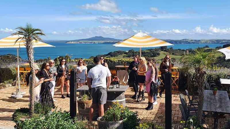 Billet Île de Waiheke : visite panoramique de l'île et dégustation de vins locaux
