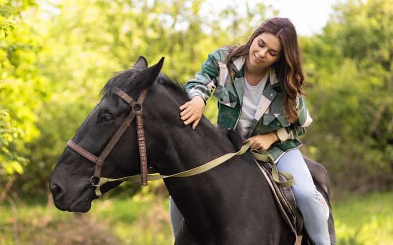 Billet Le meilleur safari équestre au départ de Bangalore