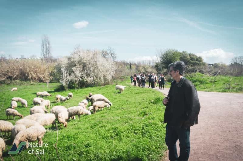 Billet Rome : randonnée dans un parc naturel secret, loin des foules