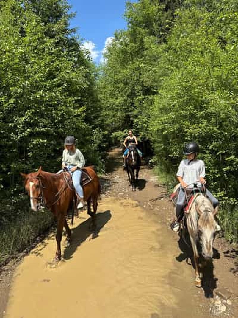 Billet Cracovie : excursion d'une journée à Zakopane avec balade à cheval et bains thermaux