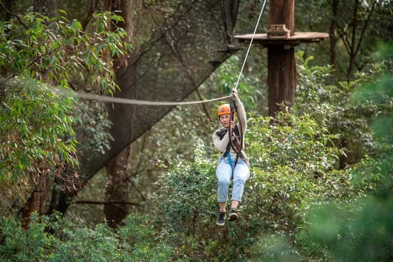 Billet Ourimbah : Central Coast Treetops Adventure Tree Ropes Course (parcours d'accrobranche)