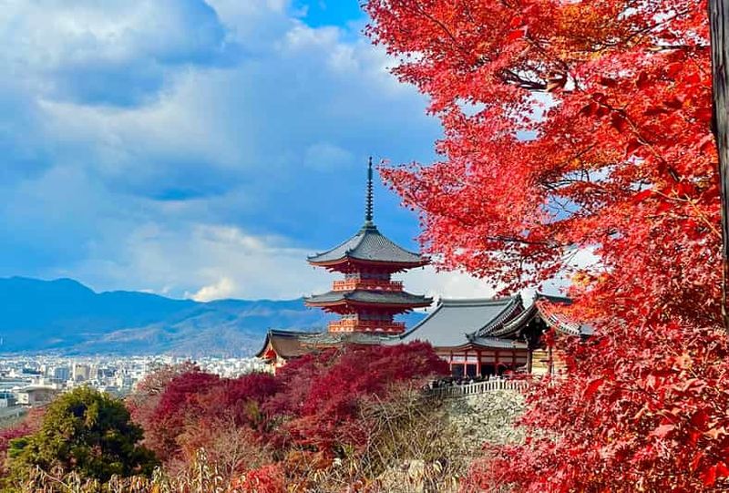 Billet Kyoto : Fushimi Inari-taisha y Kiyomizu-dera (Guide espagnol)