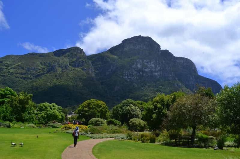 Billet Jardin botanique de Kirstenbosch et région viticole de Constantia