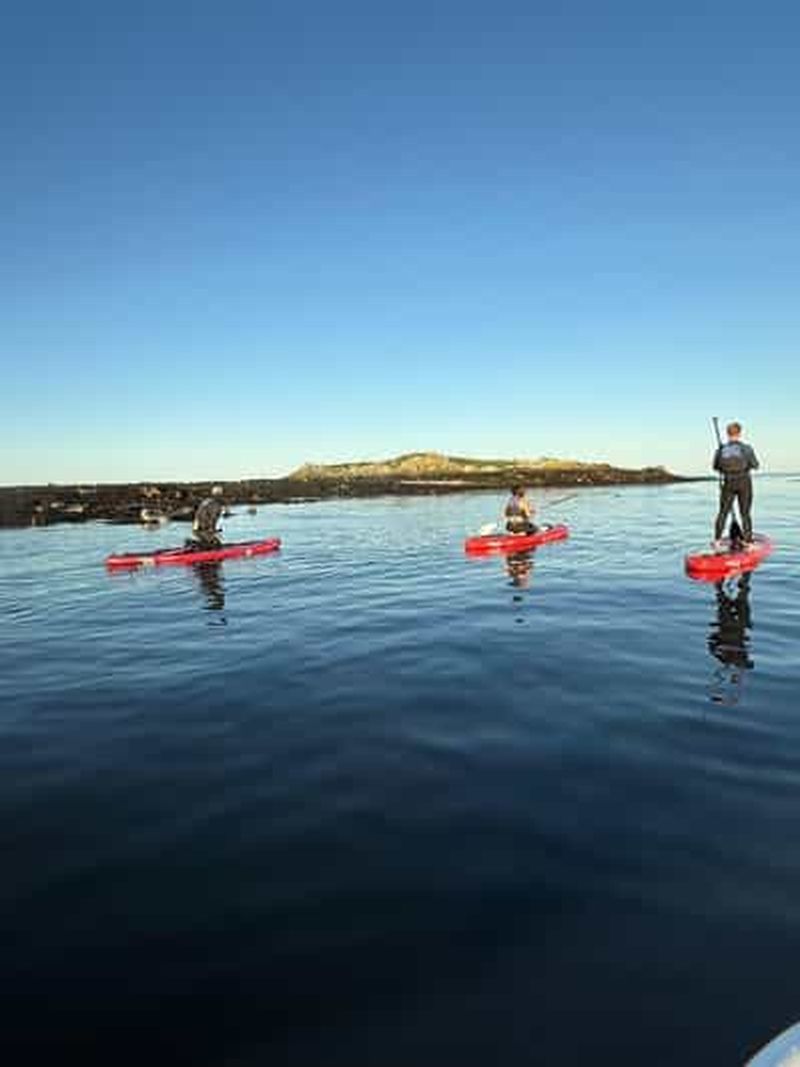 Billet Howth : cours de paddleboard dans le port de Howth