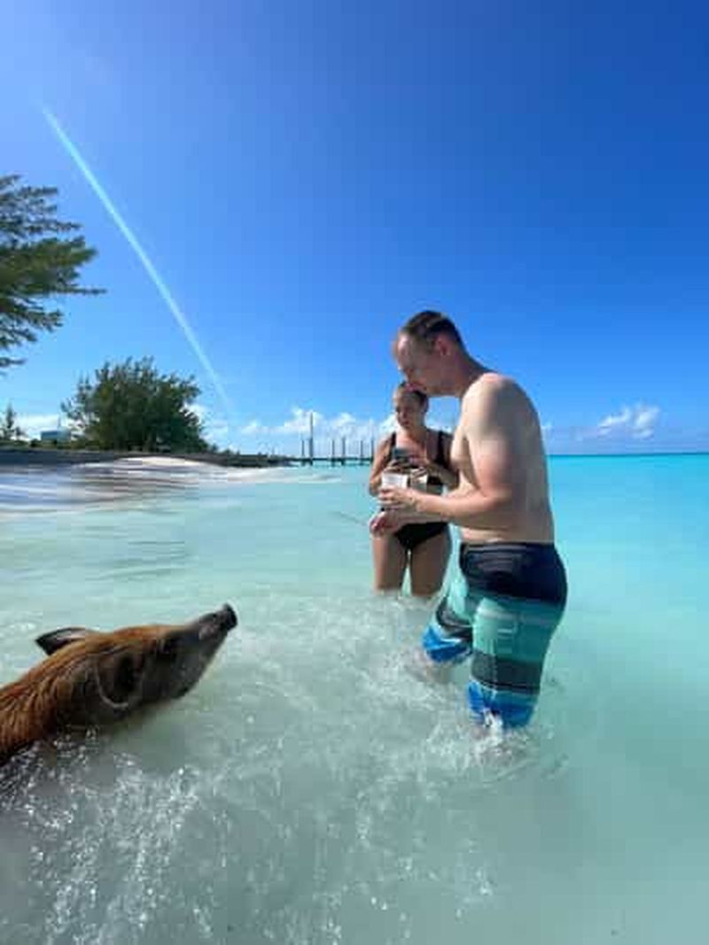 Billet Rose Island : plongée avec tuba, cochons nageurs et punch au rhum à volonté