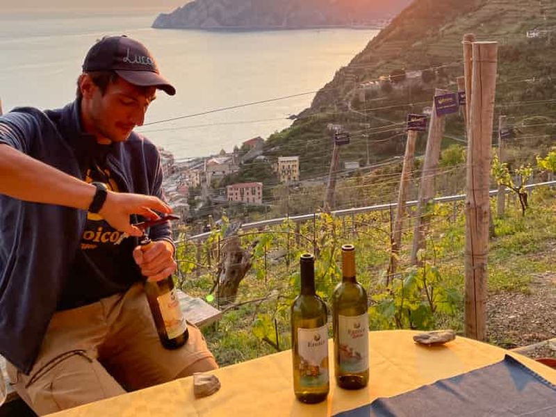 Billet Vernazza : Trekking panoramique dans les vignobles avec dégustation de vin