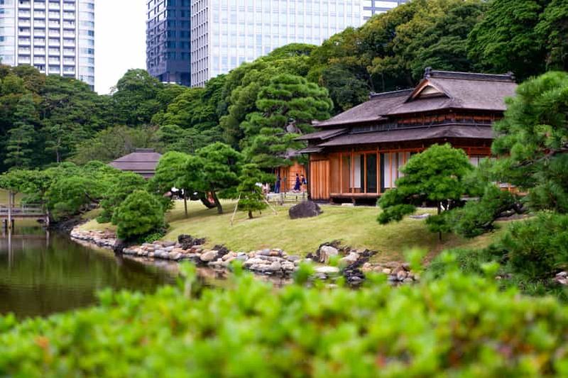 Billet Tokyo : visite du jardin japonais, train panoramique et baie d'Odaiba
