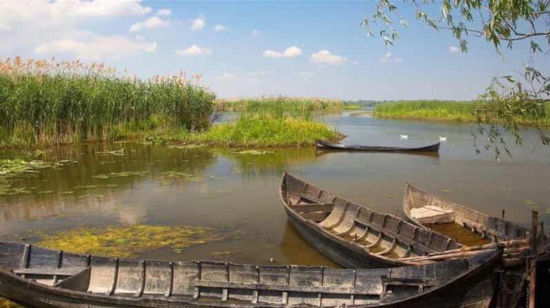 Billet Sulina : excursion en bateau dans le village de Mila 23 dans le delta du Danube