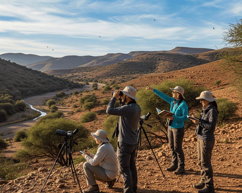 Billet Marrakech : circuit d'observation des oiseaux dans la vallée d'Aït Mizzan avec guide