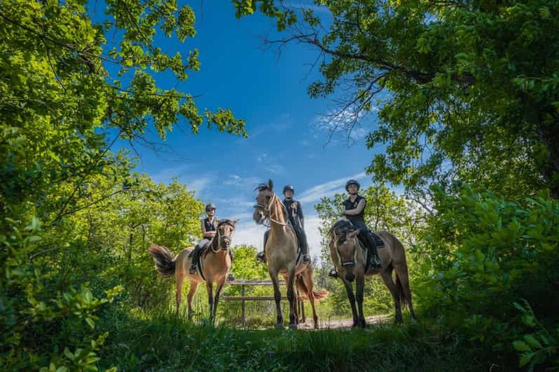 Billet Fontainebleau : équitation, gastronomie et château