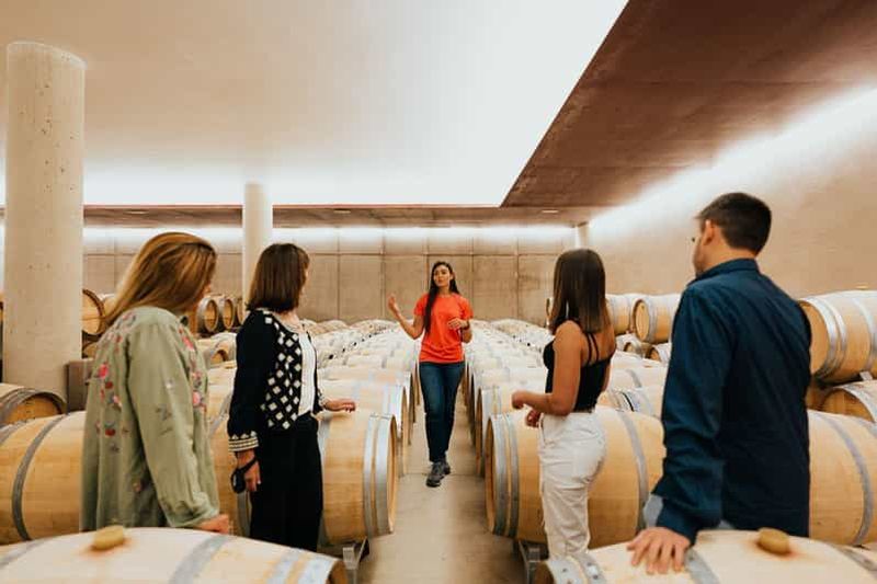 Billet Excursions à Milan : Visite du vignoble de Barolo avec un chauffeur privé