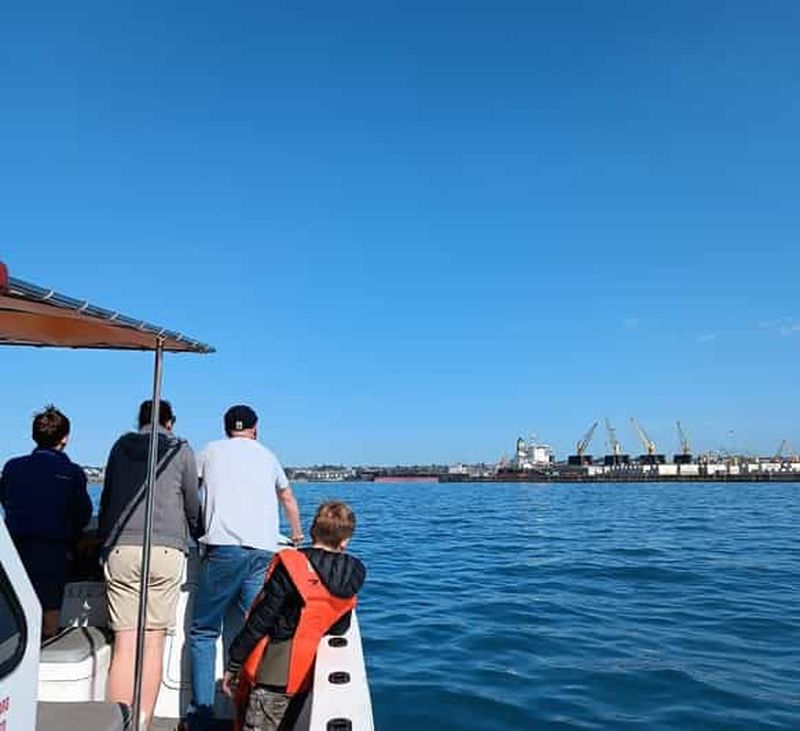Billet Gqeberha : croisière de 30 minutes dans le port