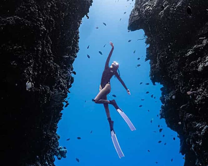 Billet Panglao : Plongée en apnée sur le récif de Napaling et les sardines