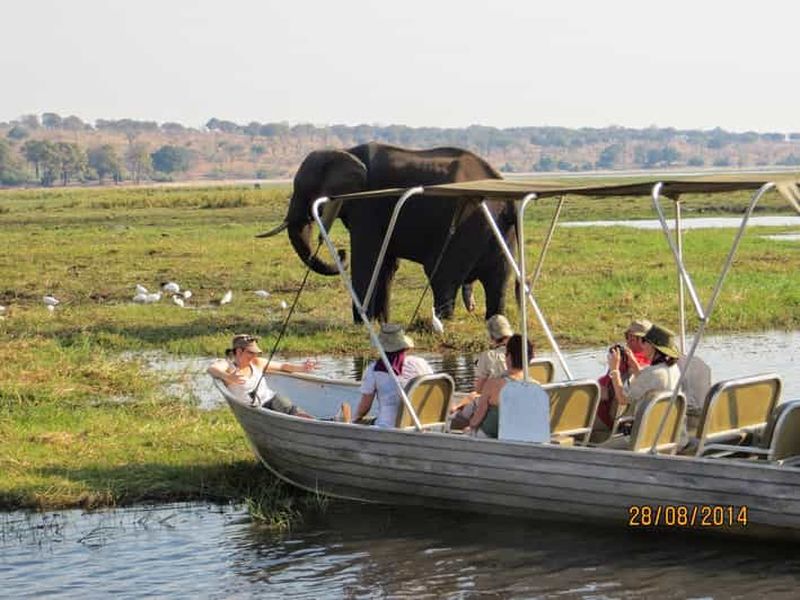Billet Excursion à Chobe depuis les chutes Victoria, au Zimbabwe