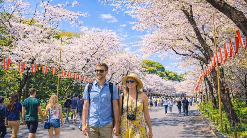 Billet Visite d'une journée à Tokyo pendant la floraison des cerisiers : Asakusa, Chidorigafuchi et Ueno