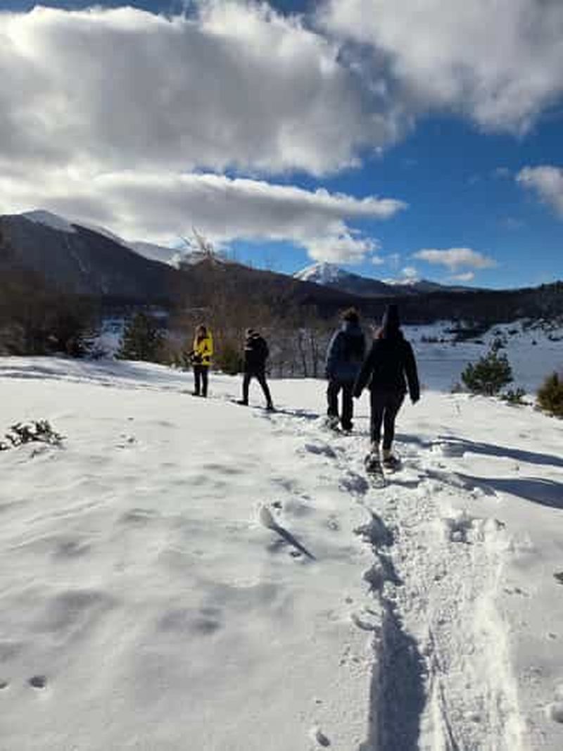 Billet Pescasseroli : Randonnée en raquettes dans les bois de Pescasseroli