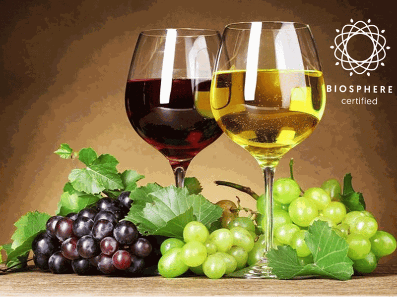 Billet Madère : dégustation de vin, Skywalk et nature