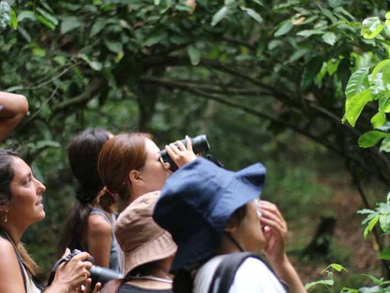 Billet Observation des oiseaux par West Bali Discovery