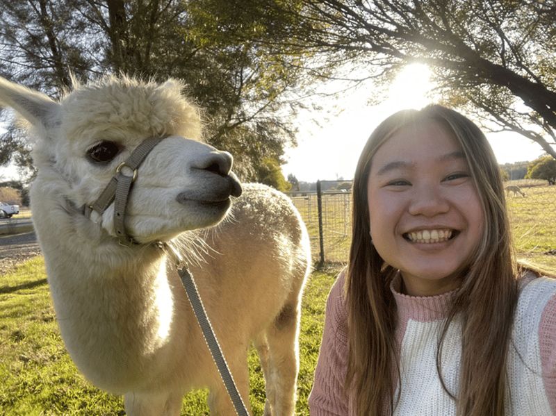 Billet Canberra : visite de la ferme Alpaca Adventure (thé du matin inclus)