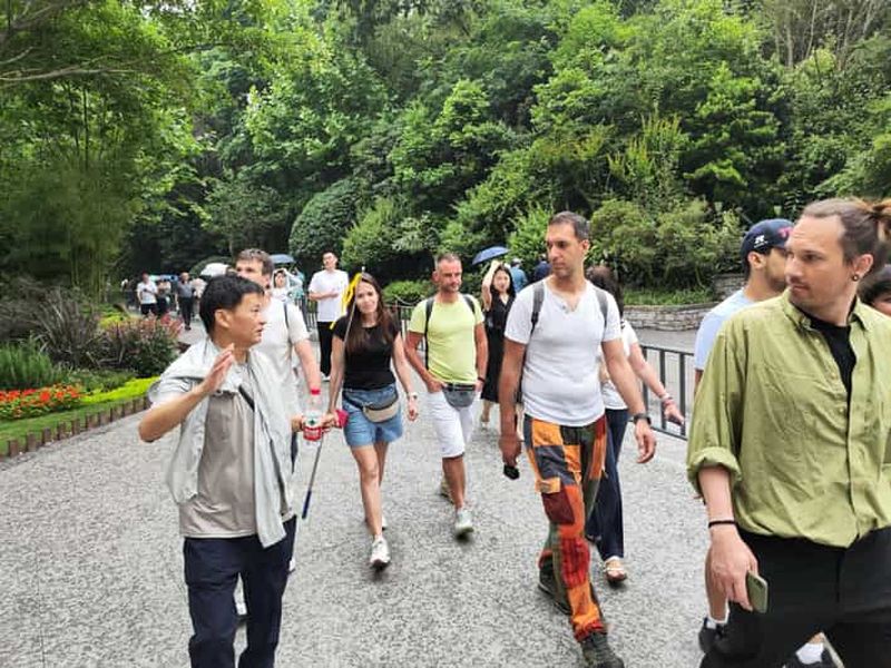 Billet Chengdu : visite d'une demi-journée au centre de recherche du panda ou visite d'une journée pandas et bouddha