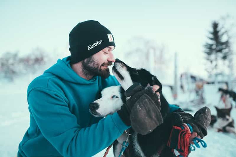 Billet Tromsø : aventure en traîneau à chiens husky en libre-service