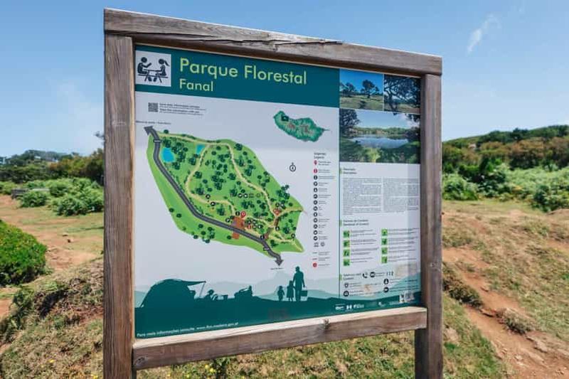 Billet Madère : forêt de Fanal et villages pittoresques de la côte sud en 4x4