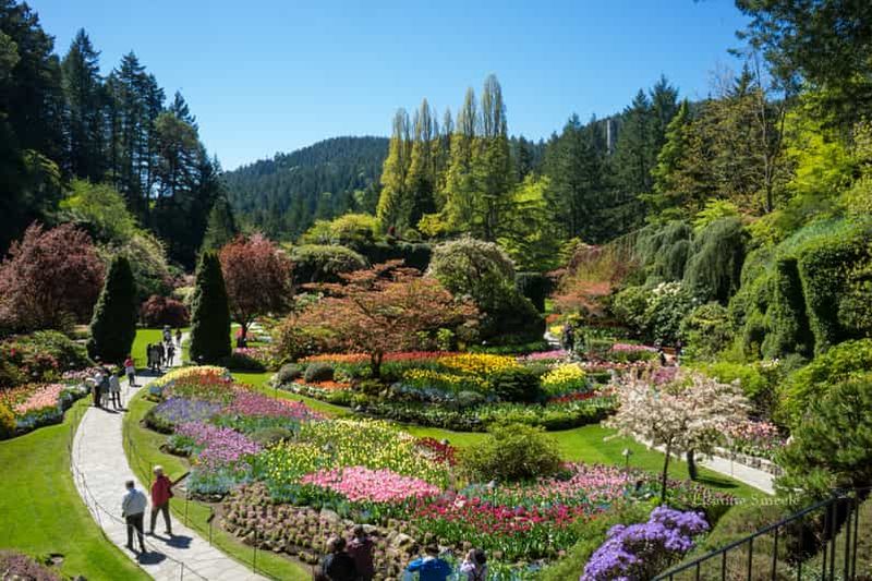 Billet Au départ de Vancouver : Jardins Butchart et excursion touristique à Victoria