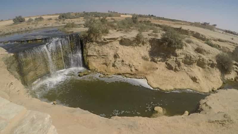 Billet Le Caire : Fayoum, Wadi El Rayan et Wadi al Hitan en 4x4