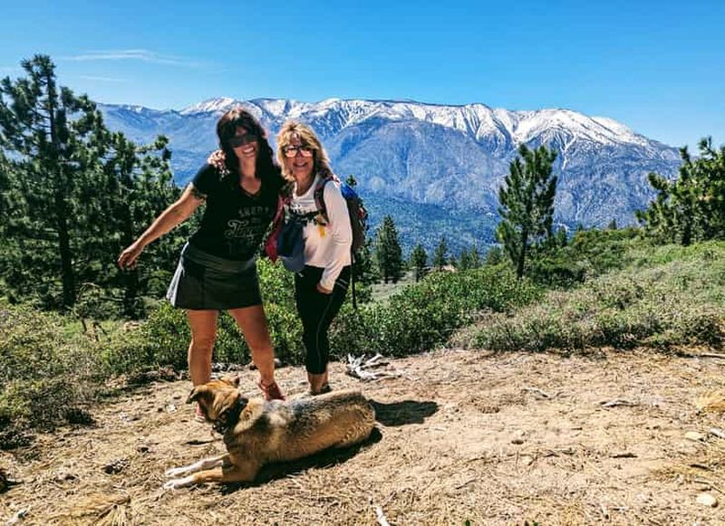 Billet Big Bear Lake : promenade familiale dans la nature et chocolat chaud