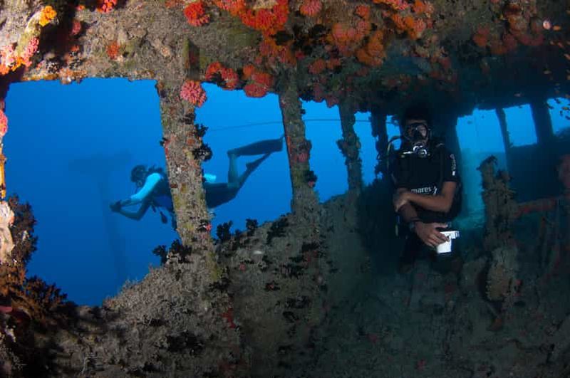 Billet Maldives : Plongée sous-marine sur l'épave de Victory