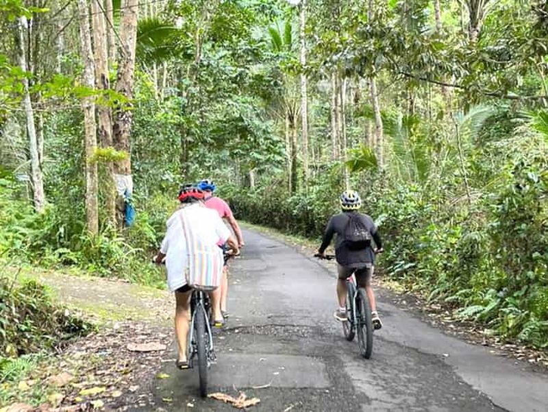 Billet Pédalez au paradis : Bali Wanderlust Sidemen Cycling Tour