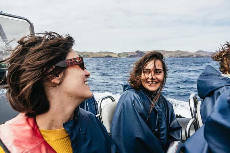Billet Depuis Machico : Tour en bateau d'observation des baleines et des dauphins de Madère.