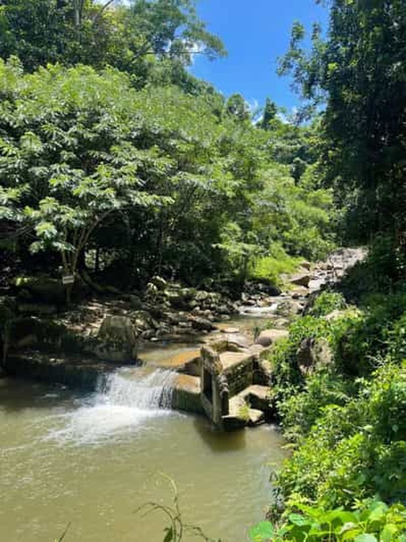 Billet Chiang Rai : randonnée au village Lahu, cascade et sources chaudes
