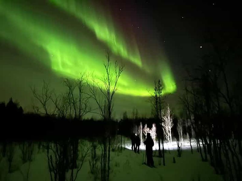Billet Rovaniemi : ski nocturne : découvrez la magie de l'Arctique