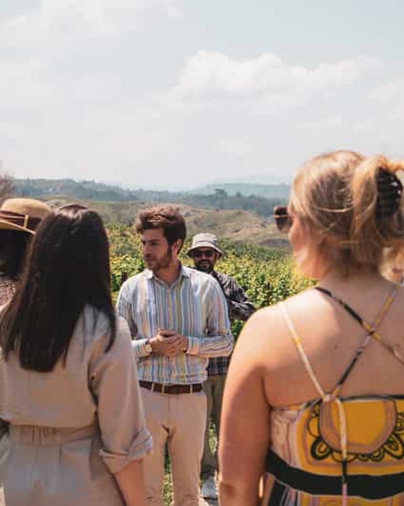 Billet Rhodes : visite de vignoble, dégustation et cuisine avec le vigneron