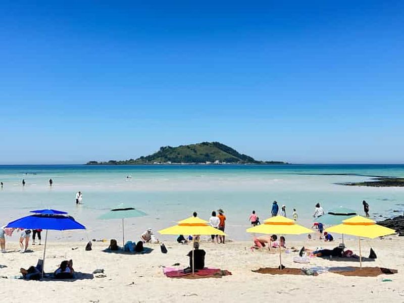 Billet Jeju Ouest : Visite de Guérison en Petit Groupe avec Grottes et Dauphins