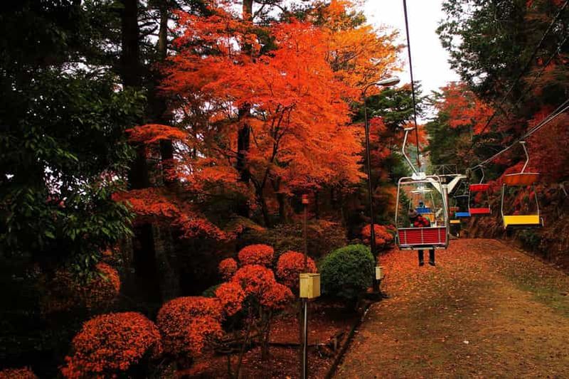 Billet Tokyo : excursion au mont Takao avec ramen et source thermale acceptant les tatouages