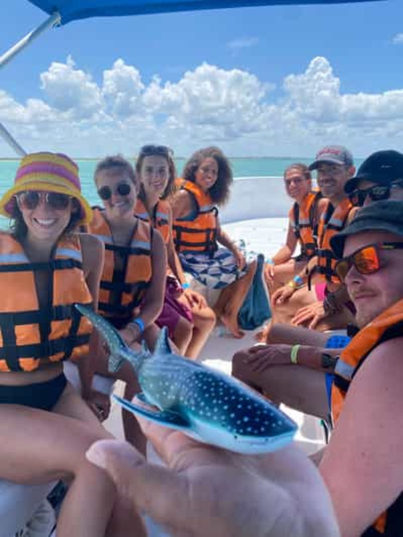 Billet Aventure incroyable, recherche et nage avec les requins-baleines sur l'île Holbox