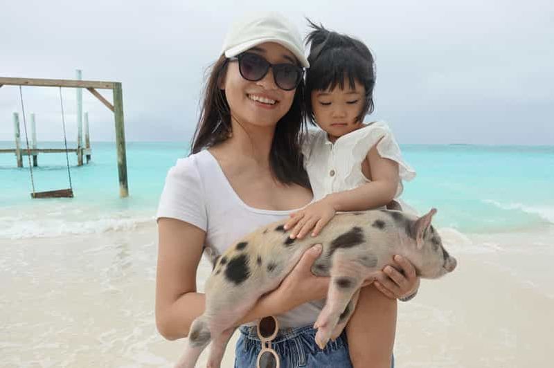 Billet Excursion en quad et cochons nageurs à Nassau