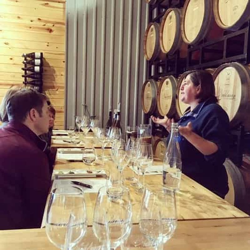 Billet San Antonio : visite guidée de la vallée de la Guadalupe, entre vins et whisky