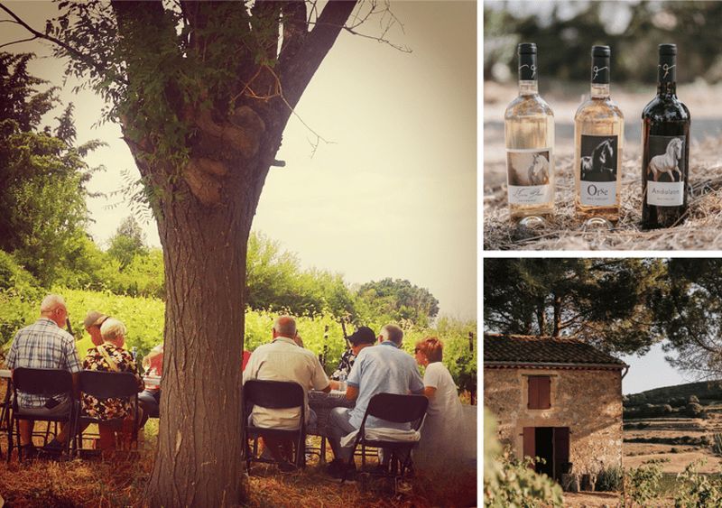 Billet Mas Farchat: Dégustation de vin et de tapas en pleine nature