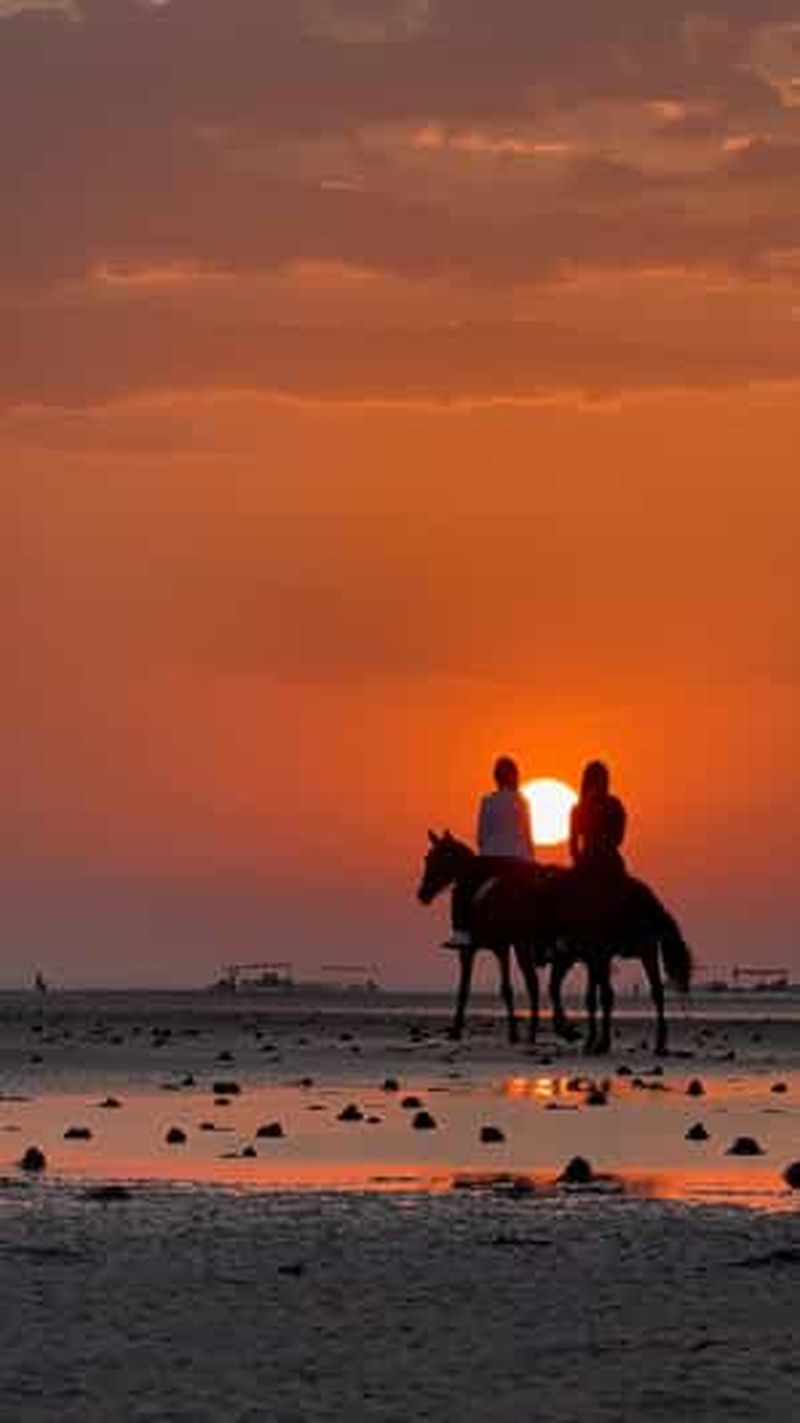 Billet Randonnée à cheval à Muscat | Randonnée à cheval sur la plage