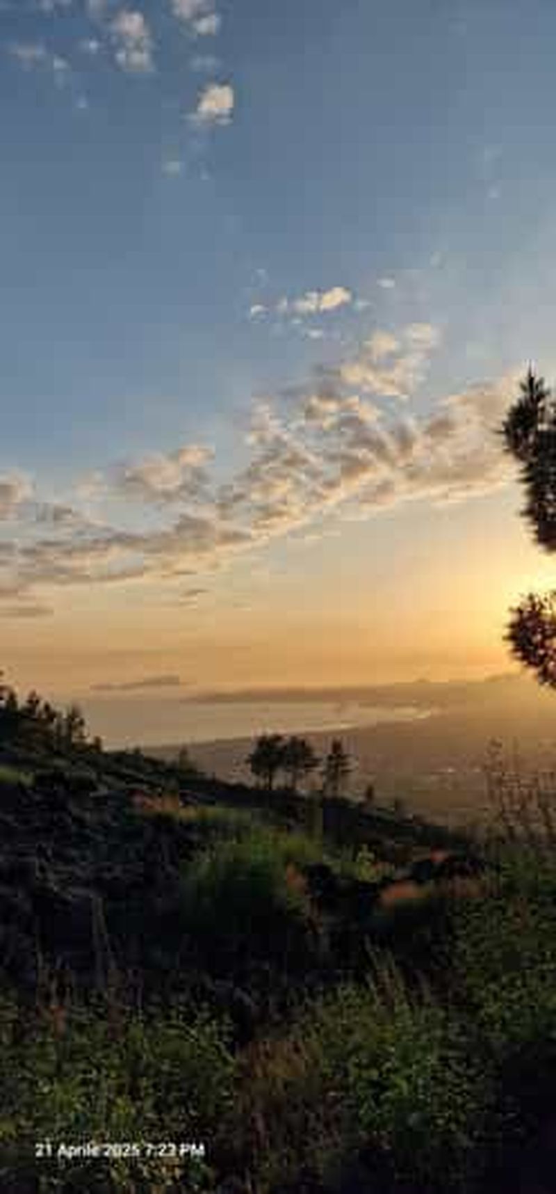 Billet Randonnée sur la rivière de lave - Parc national du Vésuve avec Enzo