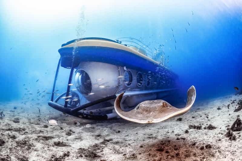 Billet Puerto de la Cruz : Excursion en sous-marin et arrêt plage à Tenerife