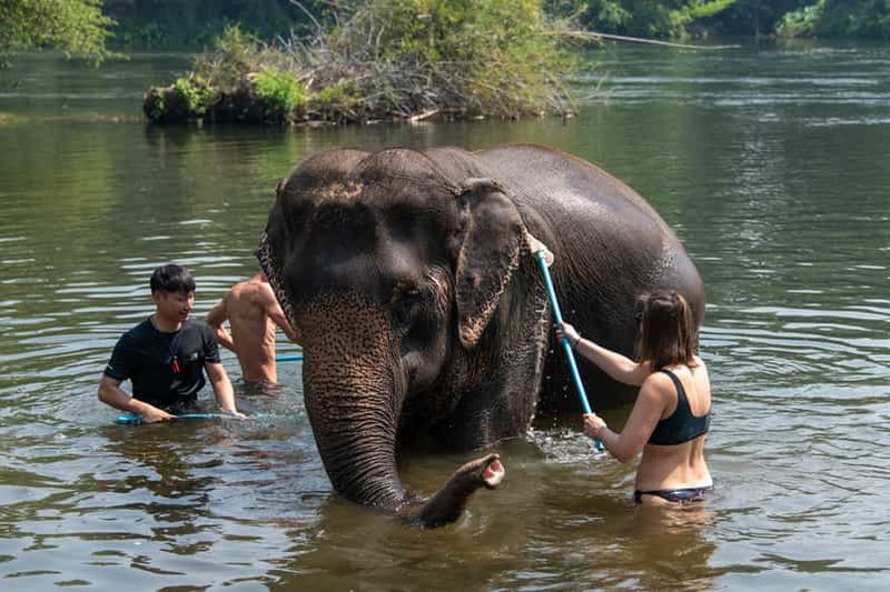 Billet Bangkok : Sanctuaire des éléphants et chute d'eau d'Erawan